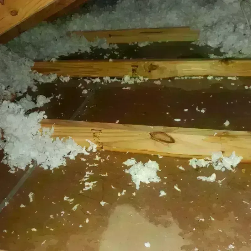 Attic Water Damage in Steele, ND