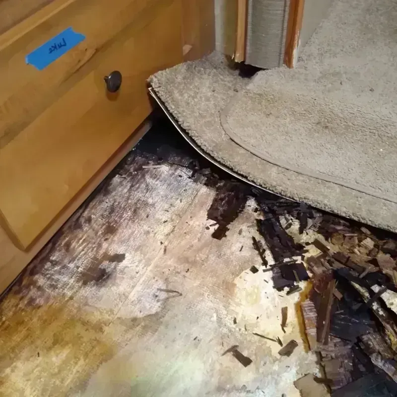 Best Wood Floor Water Damage Service in Steele, ND